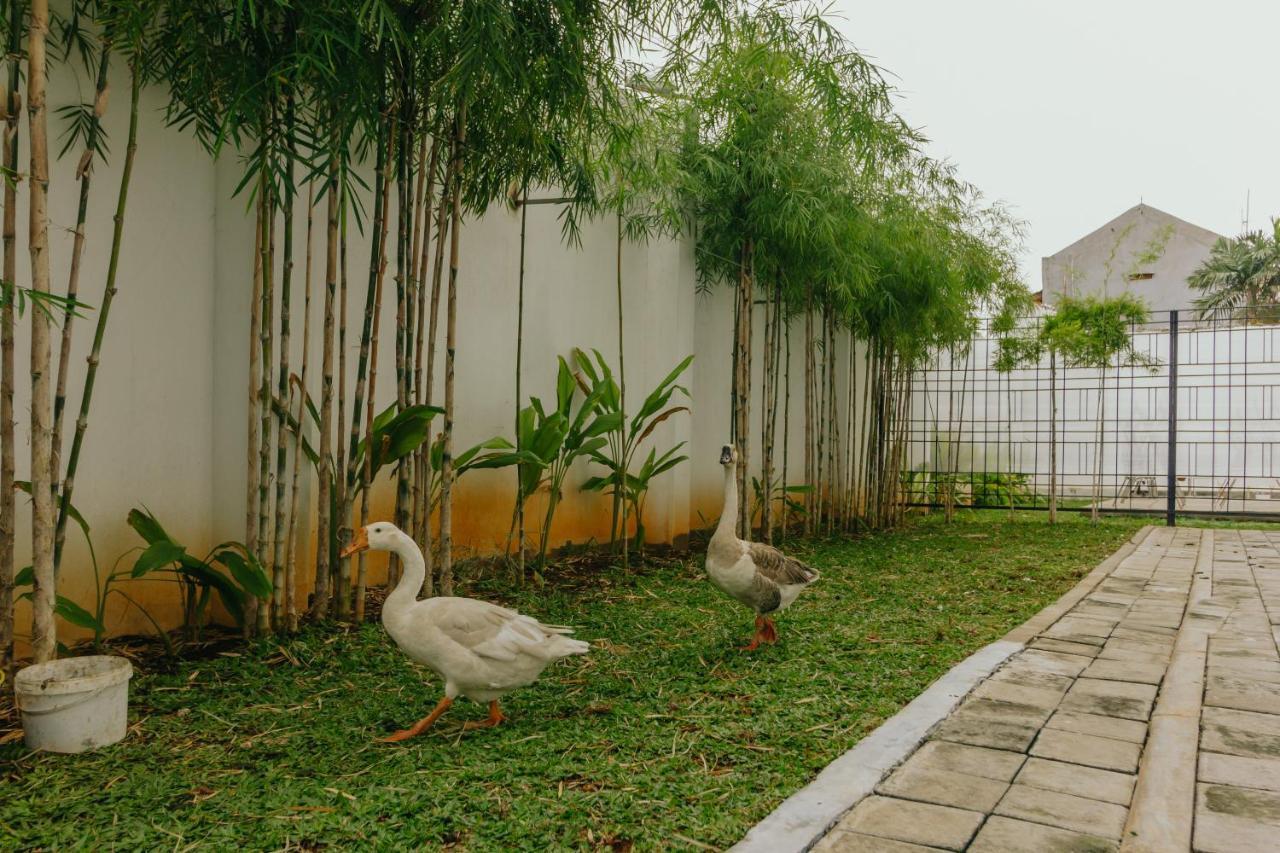 Urbanest Inn House Slipi Τζακάρτα Εξωτερικό φωτογραφία